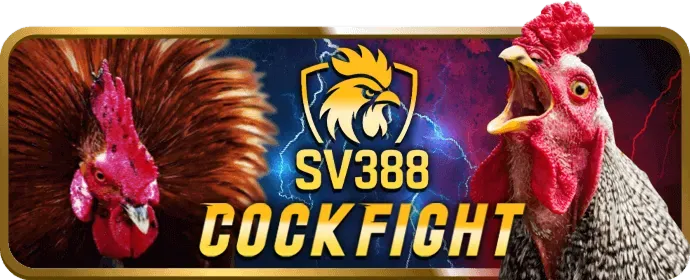 Cá cược thể thao hitclub88 win